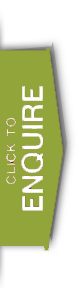 Abu Dhabi City Tour Private